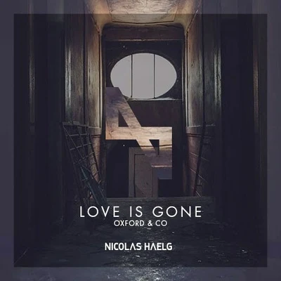 Nicolas Haelg Love Is Gone (Nicolas Haelg Remix)