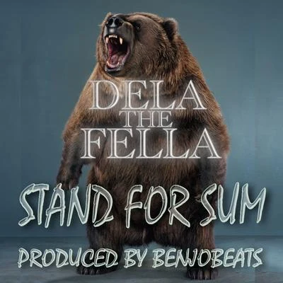 Dela The Fella Stand for Sum