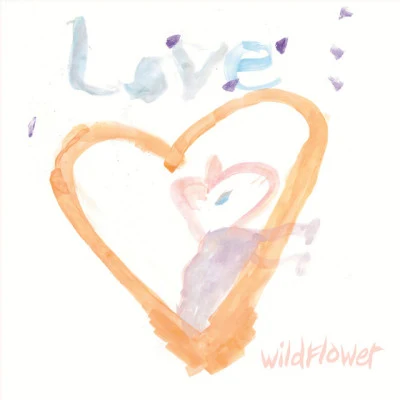 歌手 Wildflower