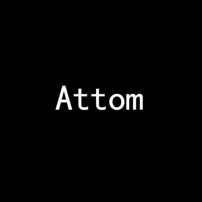 歌手 Attom