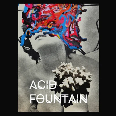 歌手 Acid Fountain