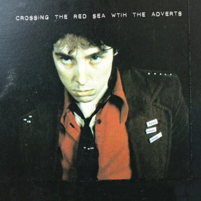 歌手 The Adverts