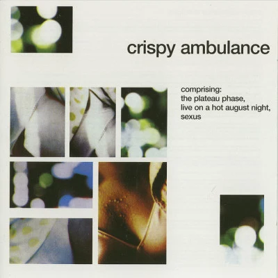 歌手 Crispy Ambulance