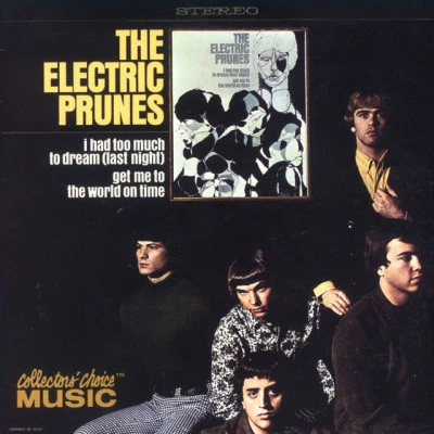 歌手 The Electric Prunes