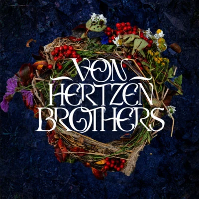 歌手 Von Hertzen Brothers