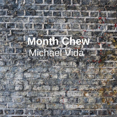 歌手 Michael Vida