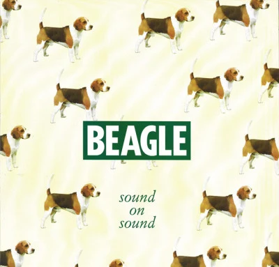 歌手 BEAGLE