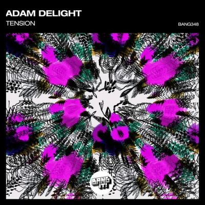 歌手 Adam Delight