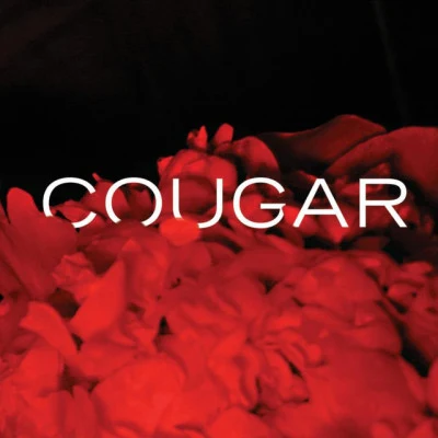 歌手 Cougar