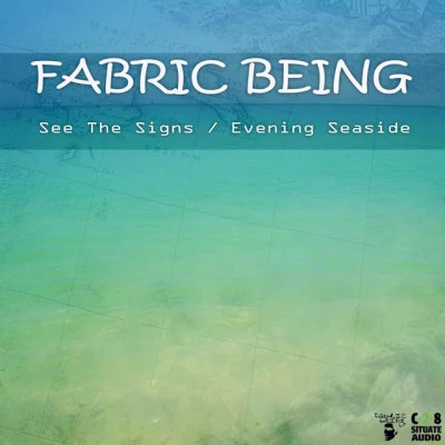 歌手 Fabric Being