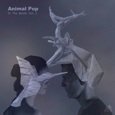 歌手 Animal Pop