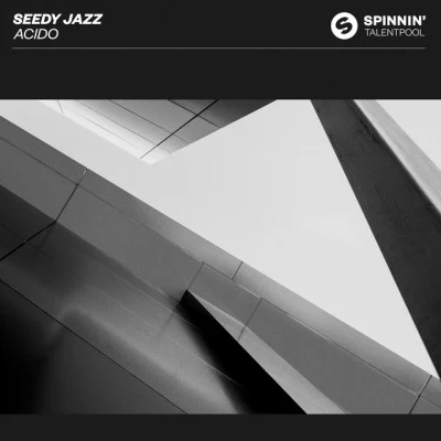 Seedy Jazz/Jorg Zimmer/Kay/Lessnoise/C-Jay/Cristian R Ibiza House Evolution