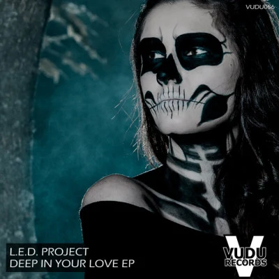 歌手 L.E.D Project