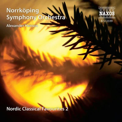 歌手 Norrköping Symphony Orchestra