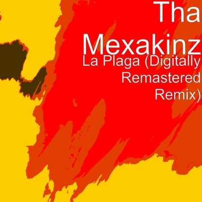 歌手 Tha Mexakinz