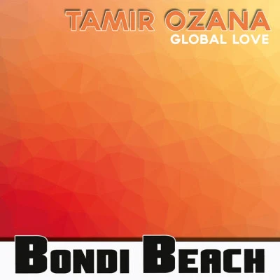 歌手 Tamir Ozana