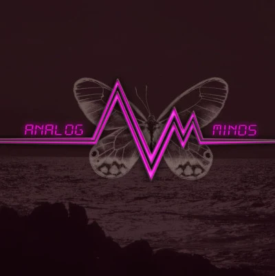 歌手 Analog Minds