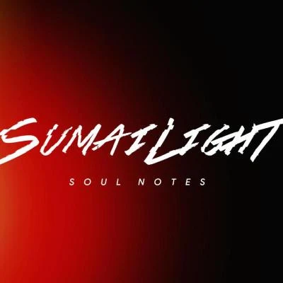 SumaiLight Love is gone (SumaiLight Bootleg)