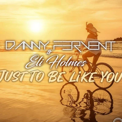 歌手 Danny Fervent