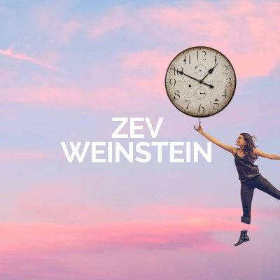 歌手 Zev Weinstein