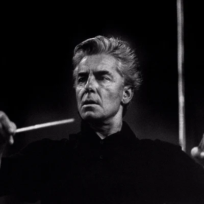 Herbert von Karajan/Mari Samuelsen/Ludovico Einaudi/Federico Agostini/Adelaide Symphony Orchestra/Mischa Maisky Royalcore Bach