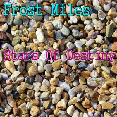 歌手 Frost Miles