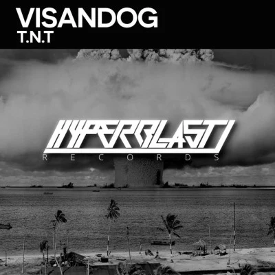 歌手 Visandog