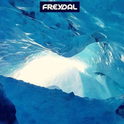 歌手 Freydal