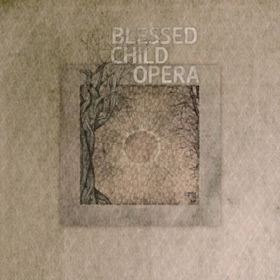 歌手 Blessed Child Opera