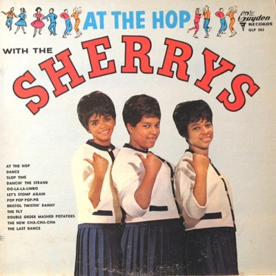 歌手 The Sherrys