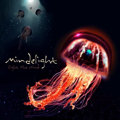 歌手 Mindelight