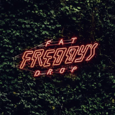 歌手 Fat Freddys Drop