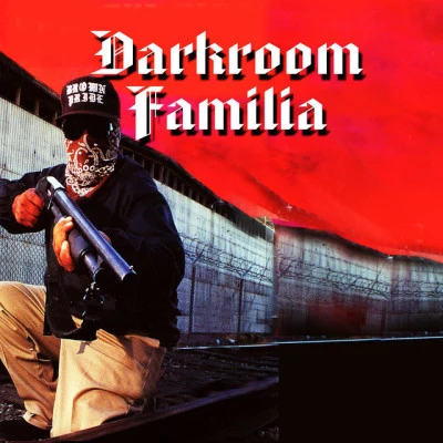 DarkRoom Familia/OSO/Sir Dyno darkrooms hardest hits, Vol. 2