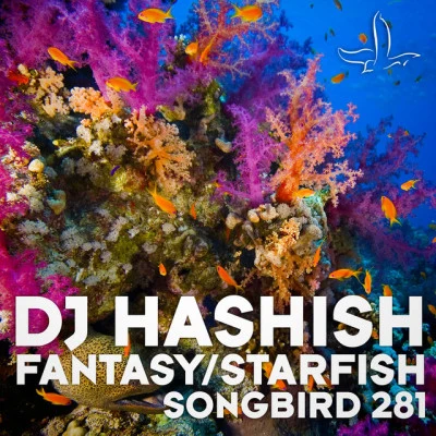 歌手 DJ Hashish3PM