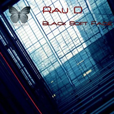 歌手 Rau D