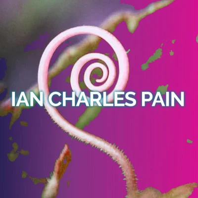 歌手 Ian Charles Pain