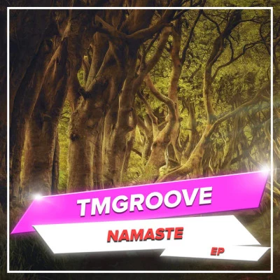 歌手 TMGROOVE