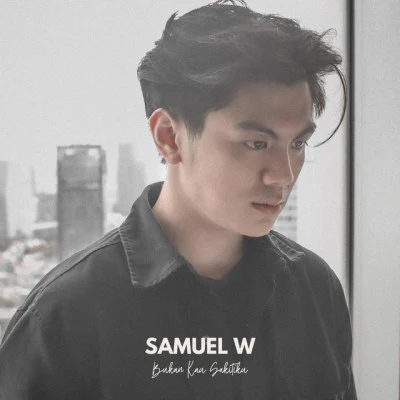 歌手 Samuel W