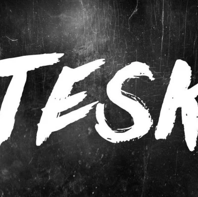 歌手 Tesk