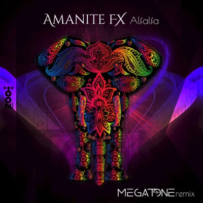 歌手 Amanite FXPrana