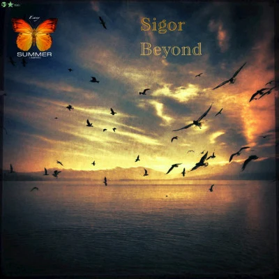 Sigor/2F/Sonic Scope/R.I.B./Fungus/Airto Chillout Summer Session Vol.14