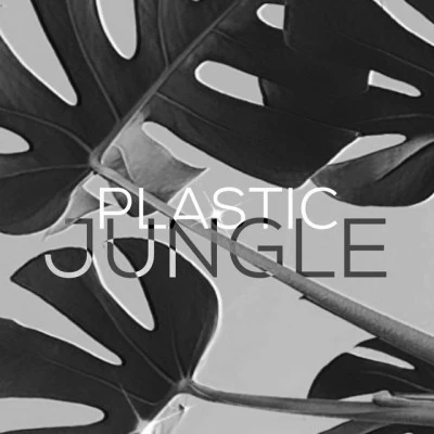 Plastic Jungle/ODBLU/Tiny House Bassline (Chill Edit)