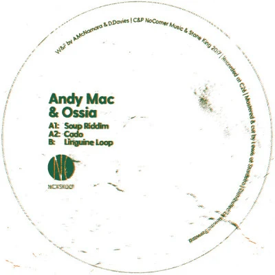 歌手 Andy Mac