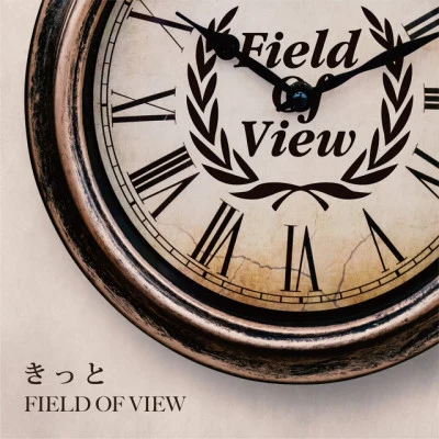 歌手 FIELD OF VIEW