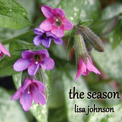 歌手 Lisa Johnson