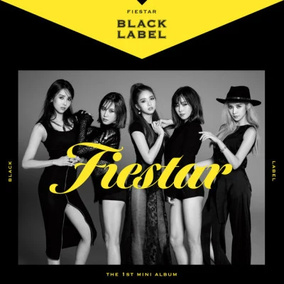 歌手 FIESTAR