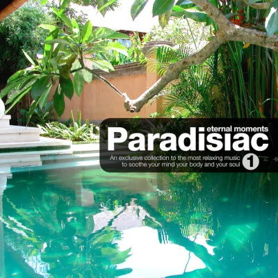 歌手 Paradisiac