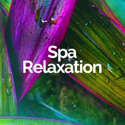 歌手 Spa RelaxationSounds of Nature White Noise for Mindfulness Meditation and RelaxationRelaxing Spa Music