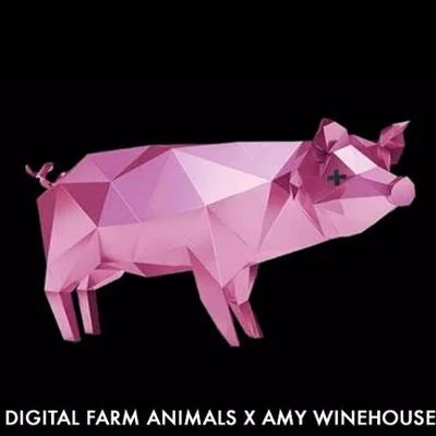 歌手 Digital Farm Animals