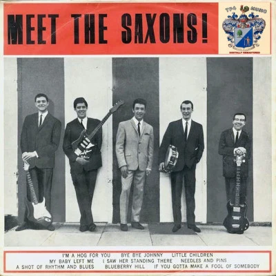 歌手 The Saxons